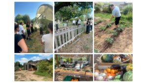 Association Le Jardin