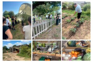 Association Le Jardin