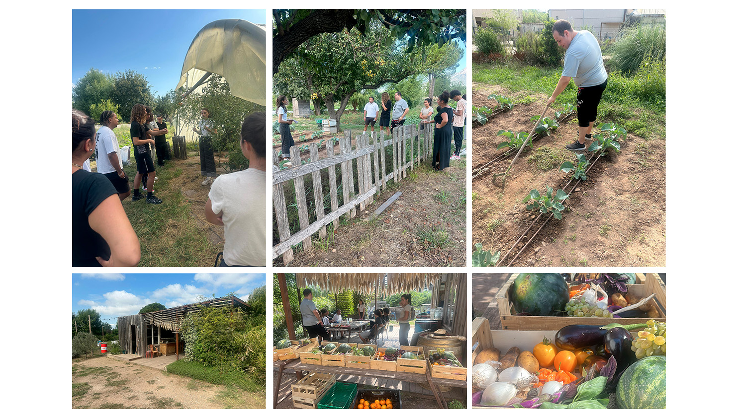 Association Le Jardin